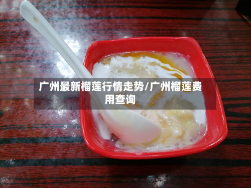 广州最新榴莲行情走势/广州榴莲费用查询