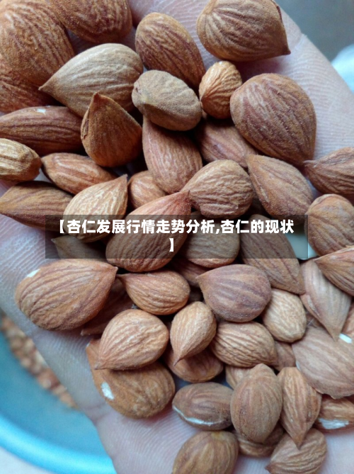 【杏仁发展行情走势分析,杏仁的现状】