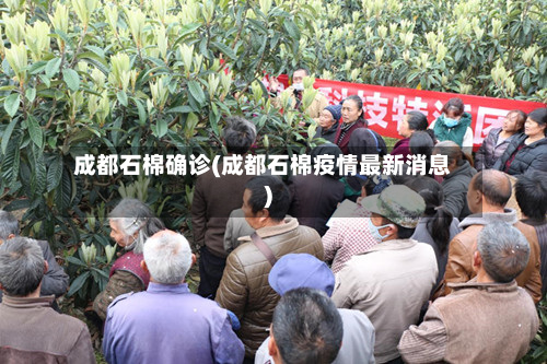 成都石棉确诊(成都石棉疫情最新消息)