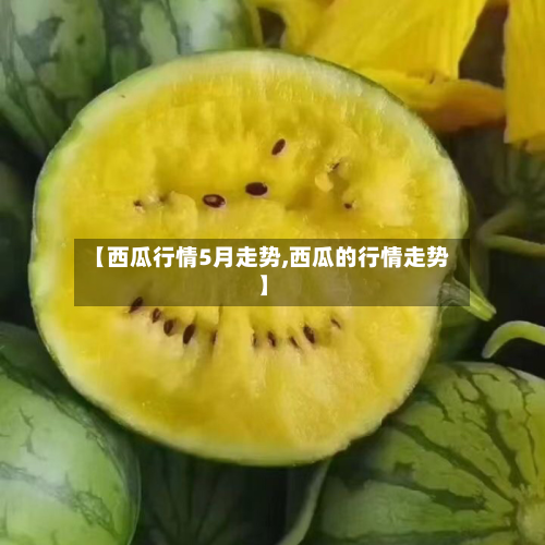 【西瓜行情5月走势,西瓜的行情走势】-第3张图片