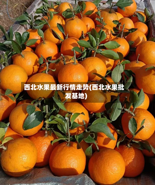 西北水果最新行情走势(西北水果批发基地)-第2张图片