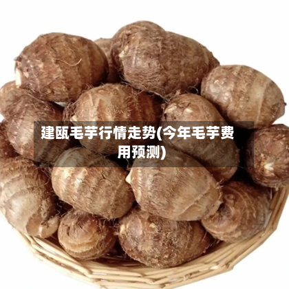 建瓯毛芋行情走势(今年毛芋费用预测)-第2张图片
