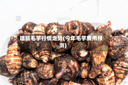 建瓯毛芋行情走势(今年毛芋费用预测)-第3张图片