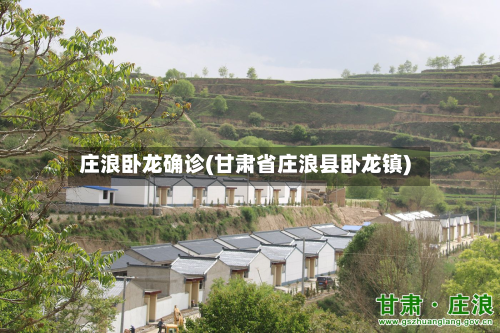 庄浪卧龙确诊(甘肃省庄浪县卧龙镇)-第3张图片