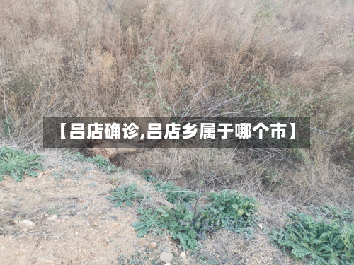【吕店确诊,吕店乡属于哪个市】-第2张图片