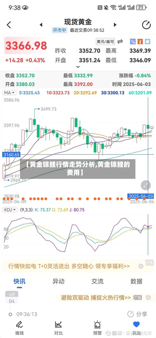 【黄金锦鲤行情走势分析,黄金锦鲤的费用】