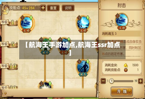 【航海王手游加点,航海王ssr加点】-第3张图片