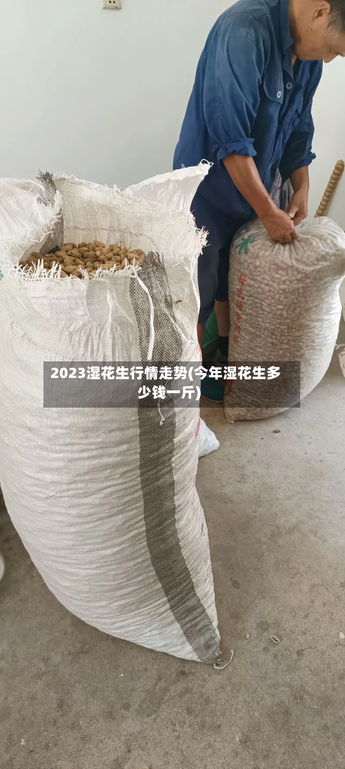 2023湿花生行情走势(今年湿花生多少钱一斤)