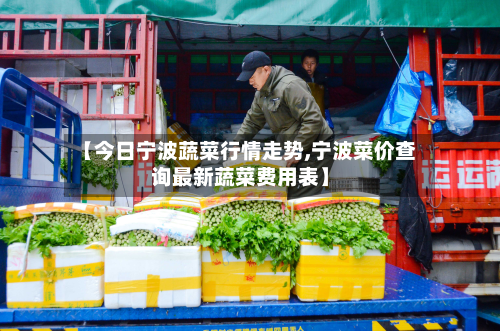 【今日宁波蔬菜行情走势,宁波菜价查询最新蔬菜费用表】
