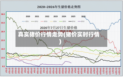 真实猪价行情走势(猪价实时行情)-第2张图片