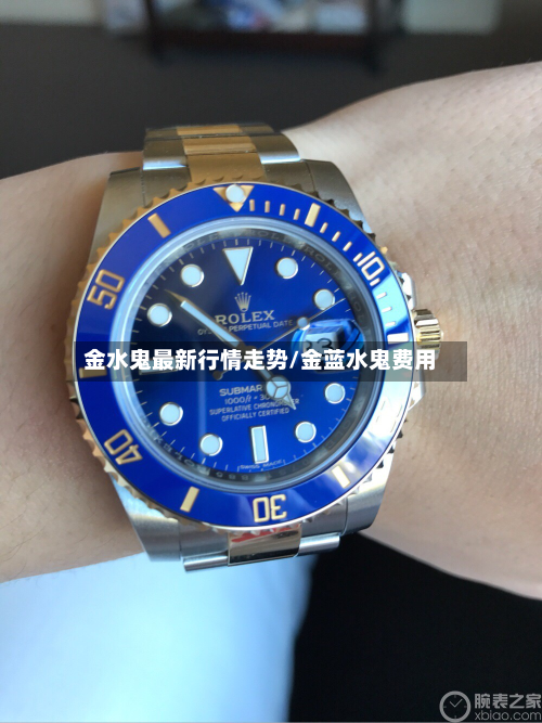 金水鬼最新行情走势/金蓝水鬼费用-第3张图片