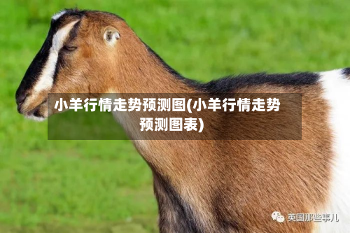 小羊行情走势预测图(小羊行情走势预测图表)