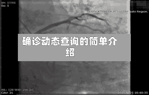 确诊动态查询的简单介绍-第3张图片