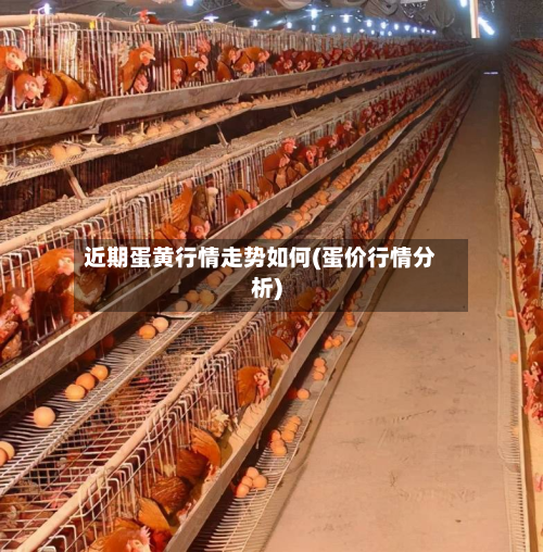 近期蛋黄行情走势如何(蛋价行情分析)
