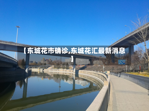 【东城花市确诊,东城花汇最新消息】-第2张图片
