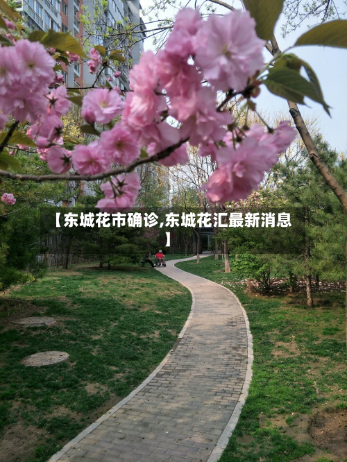 【东城花市确诊,东城花汇最新消息】-第3张图片