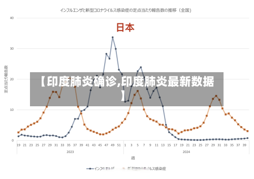 【印度肺炎确诊,印度肺炎最新数据】-第3张图片