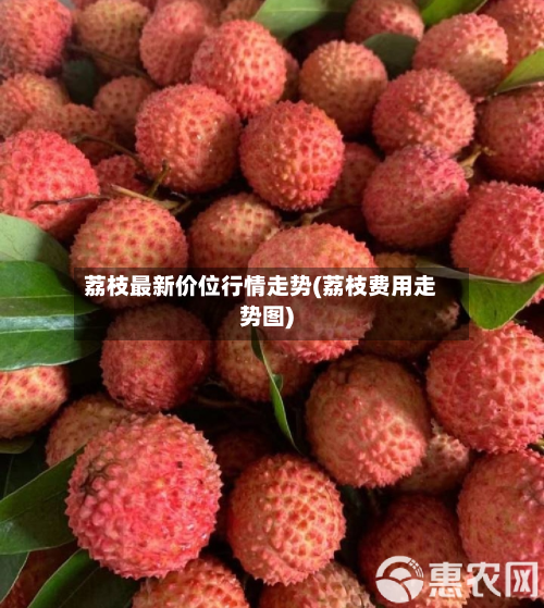 荔枝最新价位行情走势(荔枝费用走势图)-第3张图片