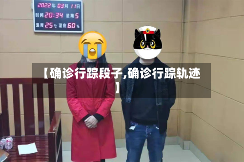 【确诊行踪段子,确诊行踪轨迹】-第3张图片