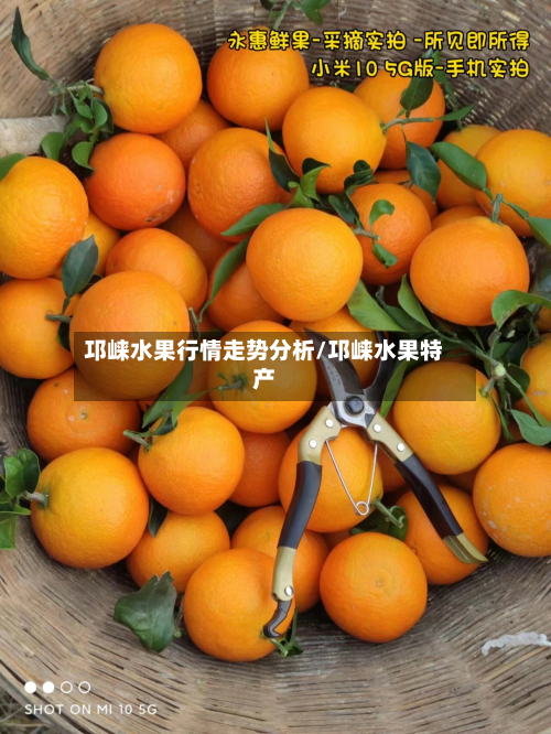 邛崃水果行情走势分析/邛崃水果特产-第2张图片