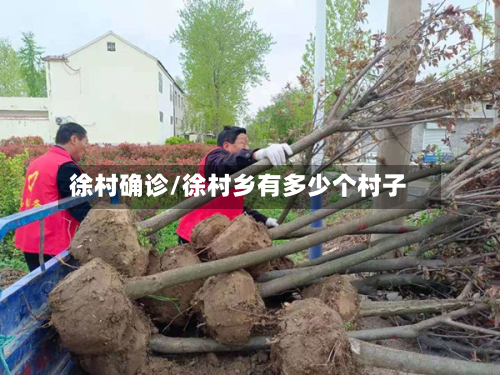 徐村确诊/徐村乡有多少个村子