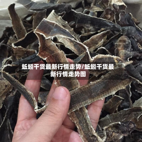 蚯蚓干货最新行情走势/蚯蚓干货最新行情走势图-第2张图片