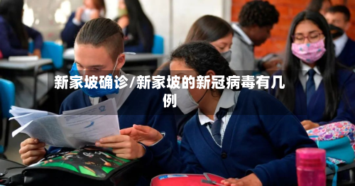 新家坡确诊/新家坡的新冠病毒有几例-第2张图片