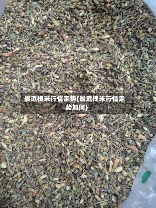 最近槐米行情走势(最近槐米行情走势如何)-第3张图片