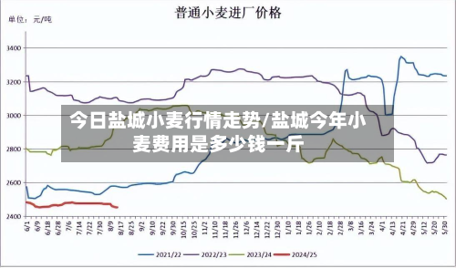 今日盐城小麦行情走势/盐城今年小麦费用是多少钱一斤-第2张图片