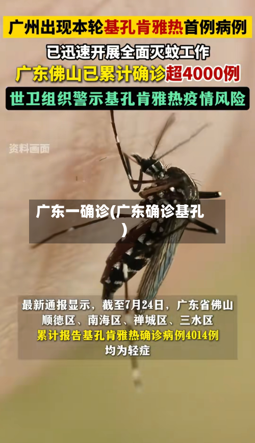 广东一确诊(广东确诊基孔)