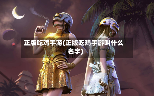 正版吃鸡手游(正版吃鸡手游叫什么名字)-第3张图片