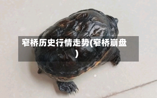 窄桥历史行情走势(窄桥崩盘)
