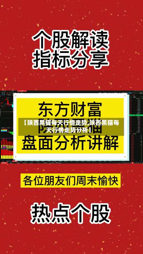 【陕西黑猫每天行情走势,陕西黑猫每天行情走势分析】-第2张图片