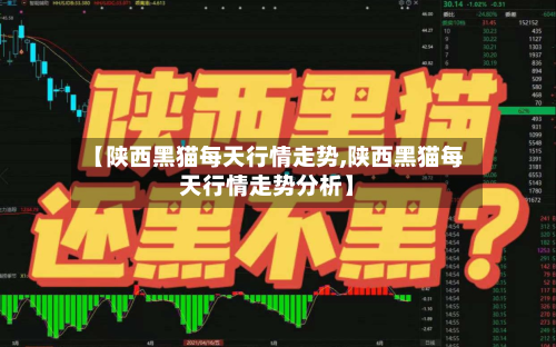 【陕西黑猫每天行情走势,陕西黑猫每天行情走势分析】-第3张图片