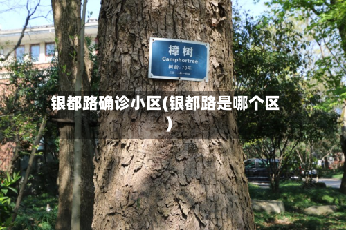 银都路确诊小区(银都路是哪个区)-第2张图片