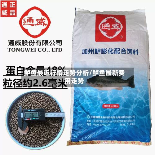 鲈鱼最近行情走势分析/鲈鱼最新费用走势