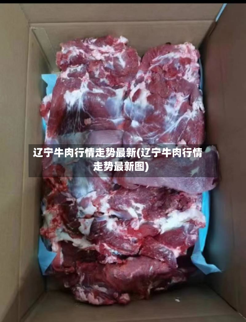 辽宁牛肉行情走势最新(辽宁牛肉行情走势最新图)-第3张图片