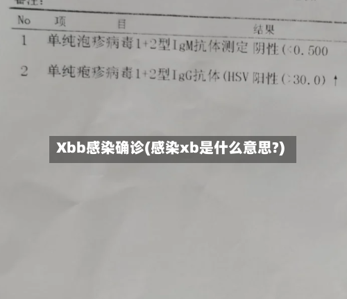 Xbb感染确诊(感染xb是什么意思?)