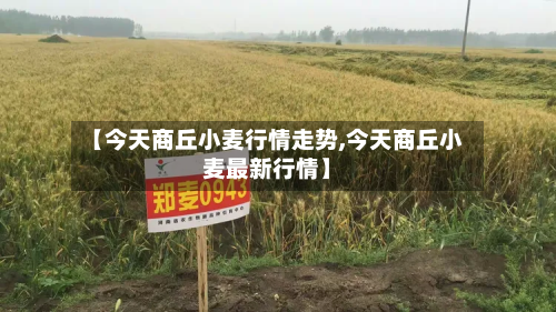 【今天商丘小麦行情走势,今天商丘小麦最新行情】
