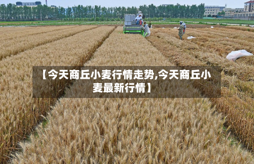 【今天商丘小麦行情走势,今天商丘小麦最新行情】-第3张图片