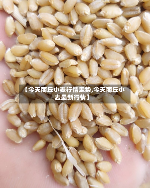 【今天商丘小麦行情走势,今天商丘小麦最新行情】-第2张图片