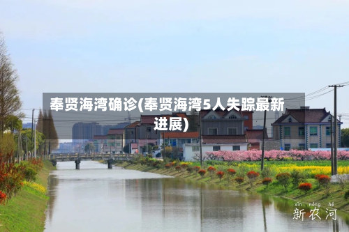 奉贤海湾确诊(奉贤海湾5人失踪最新进展)-第3张图片