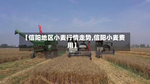 【信阳地区小麦行情走势,信阳小麦费用】-第2张图片