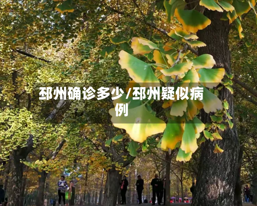 邳州确诊多少/邳州疑似病例-第2张图片