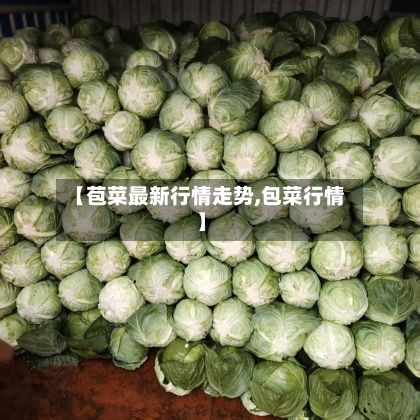 【苞菜最新行情走势,包菜行情】-第2张图片