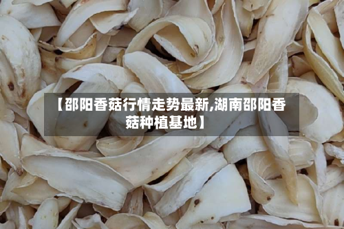 【邵阳香菇行情走势最新,湖南邵阳香菇种植基地】