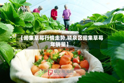 【闻集草莓行情走势,颍泉区闻集草莓年销量】