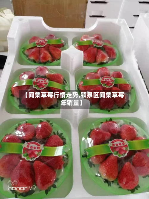 【闻集草莓行情走势,颍泉区闻集草莓年销量】-第2张图片