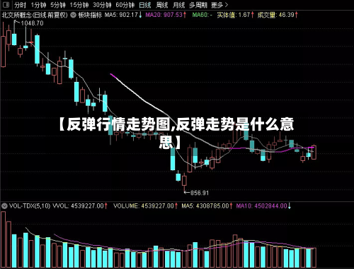 【反弹行情走势图,反弹走势是什么意思】
