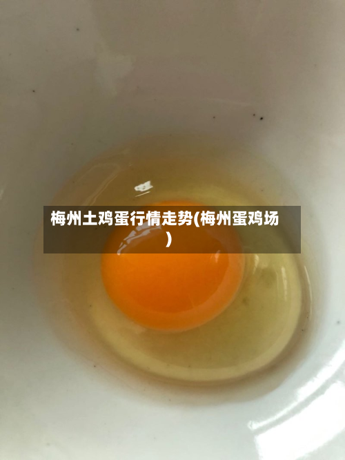 梅州土鸡蛋行情走势(梅州蛋鸡场)